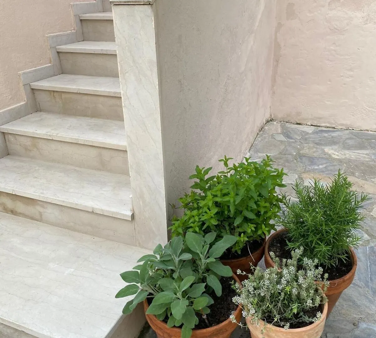Apartment Stay At Nikiti